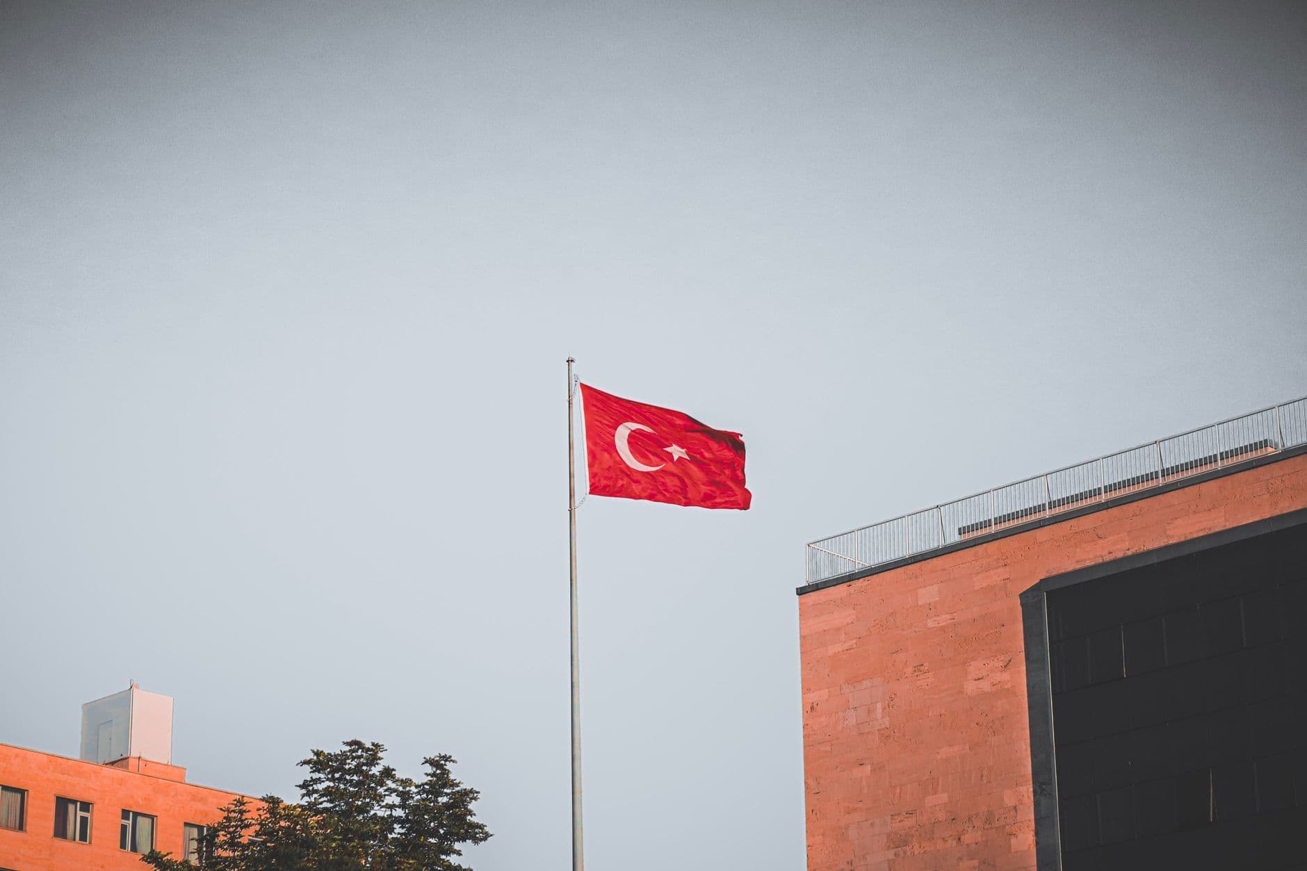 Orman yangınlarından etkilenen 5 ilde hasar tespit çalışmaları tamamlandı